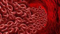 blood: a precious fluid with amazing rheological properties